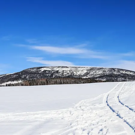 בית נופש Hill 45 By Interhome Cista (Hradec Kralove)