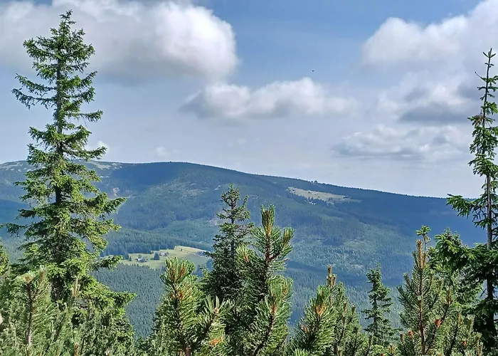 Hill 45 By Interhome